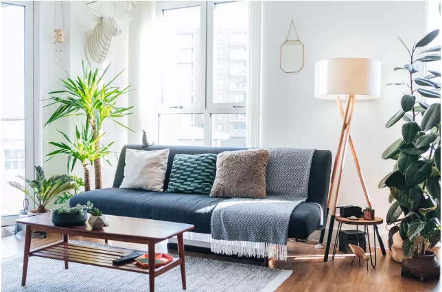 h&igrave;nh ảnh ph&ograve;ng kh&aacute;ch với sofa m&agrave;u xanh dương, cửa sổ k&iacute;nh, c&acirc;y cảnh trang tr&iacute;