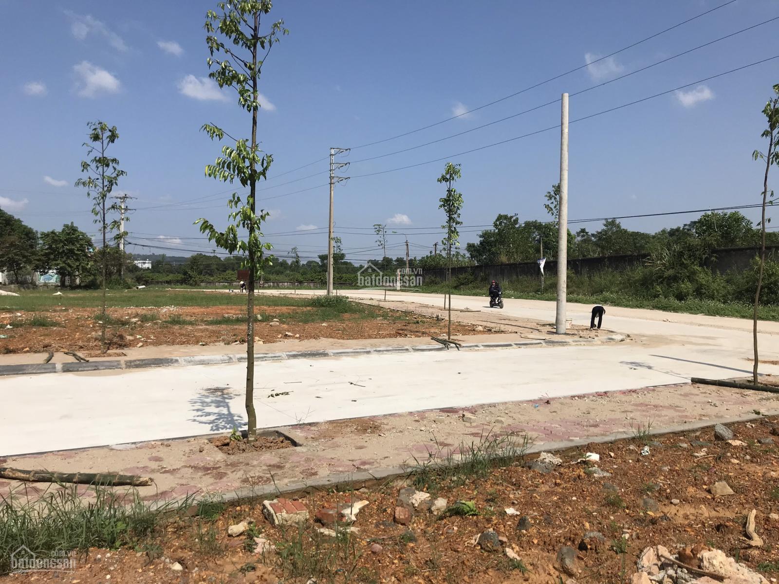 khu đất nền đ&atilde; l&agrave;m đường trồng c&acirc;y