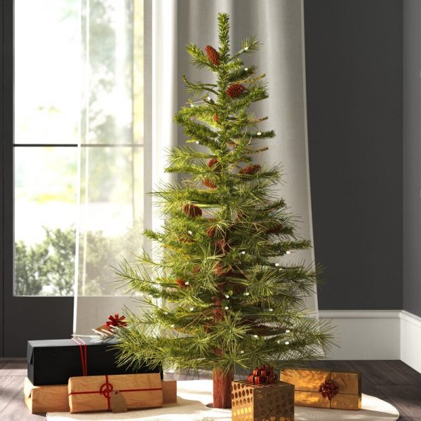h&igrave;nh ảnh cận cảnh c&acirc;y th&ocirc;ng Noel