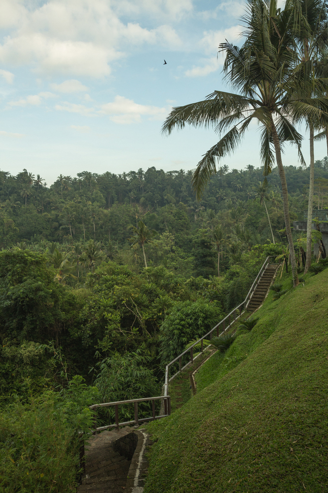 Cầu thang ngo&agrave;i trời kết nối nh&agrave; vườn với cảnh quan thi&ecirc;n nhi&ecirc;n.