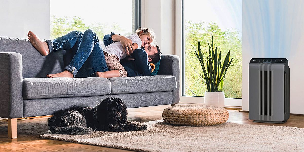h&igrave;nh ảnh 2 bố con đang nằm thư gi&atilde;n tr&ecirc;n ghế sofa