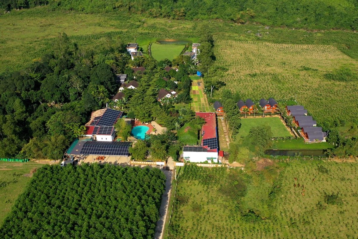 nhà ở giữa núi rừng, cây cối