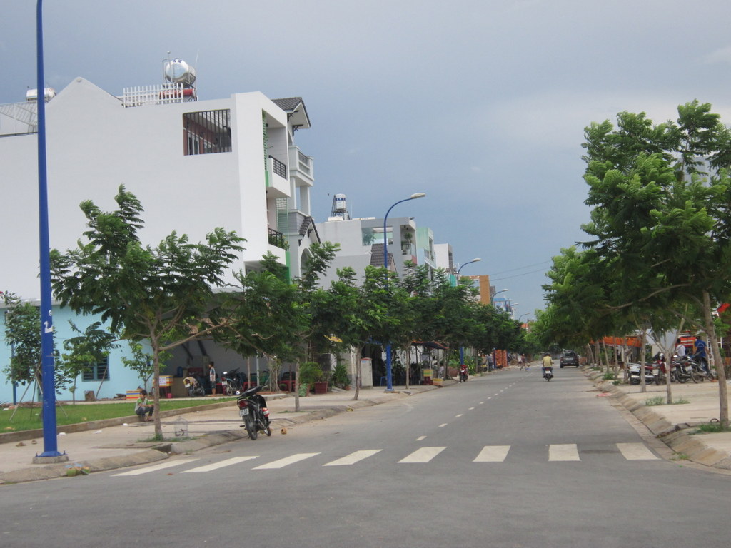 tuyến đường có hàng cây hai bên và nhiều nhà cao tầng