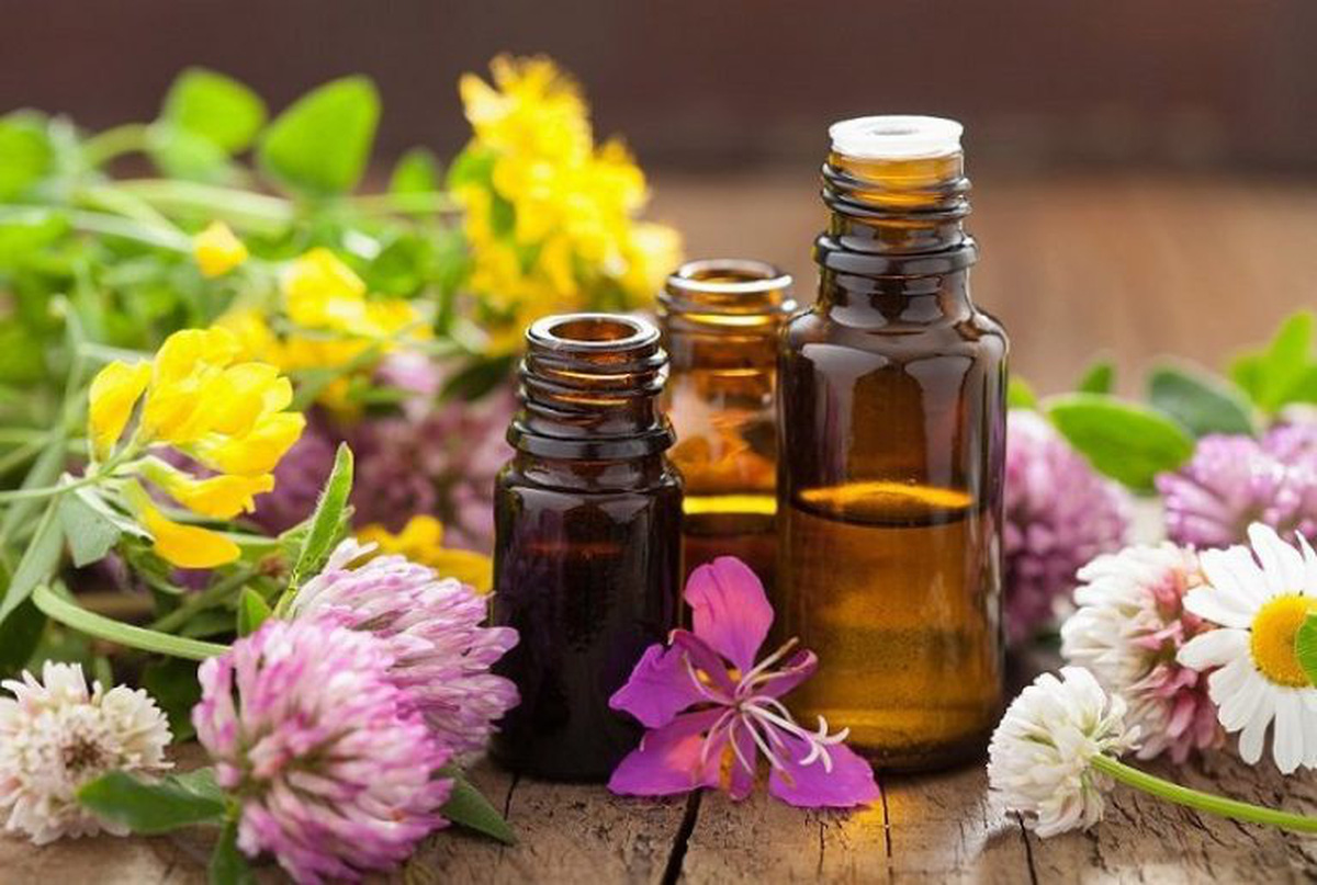 tinh dầu đẩy lùi mùi ẩm mốc khi nhà nồm Sử dụng tinh dầu đẩy lùi mùi ẩm mốc khi nhà nồm