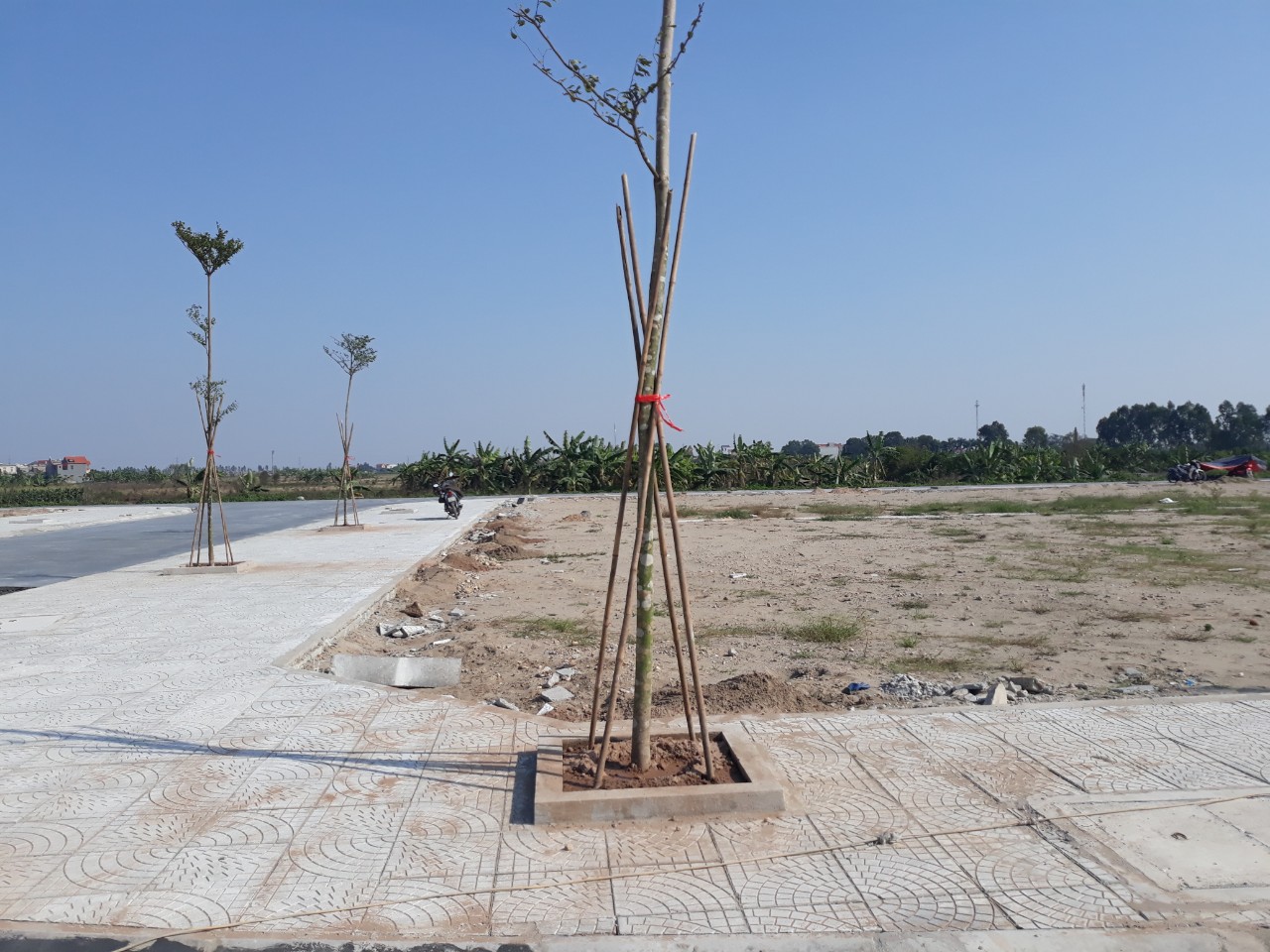 Đất nền ph&acirc;n l&ocirc; tại Hải Dương