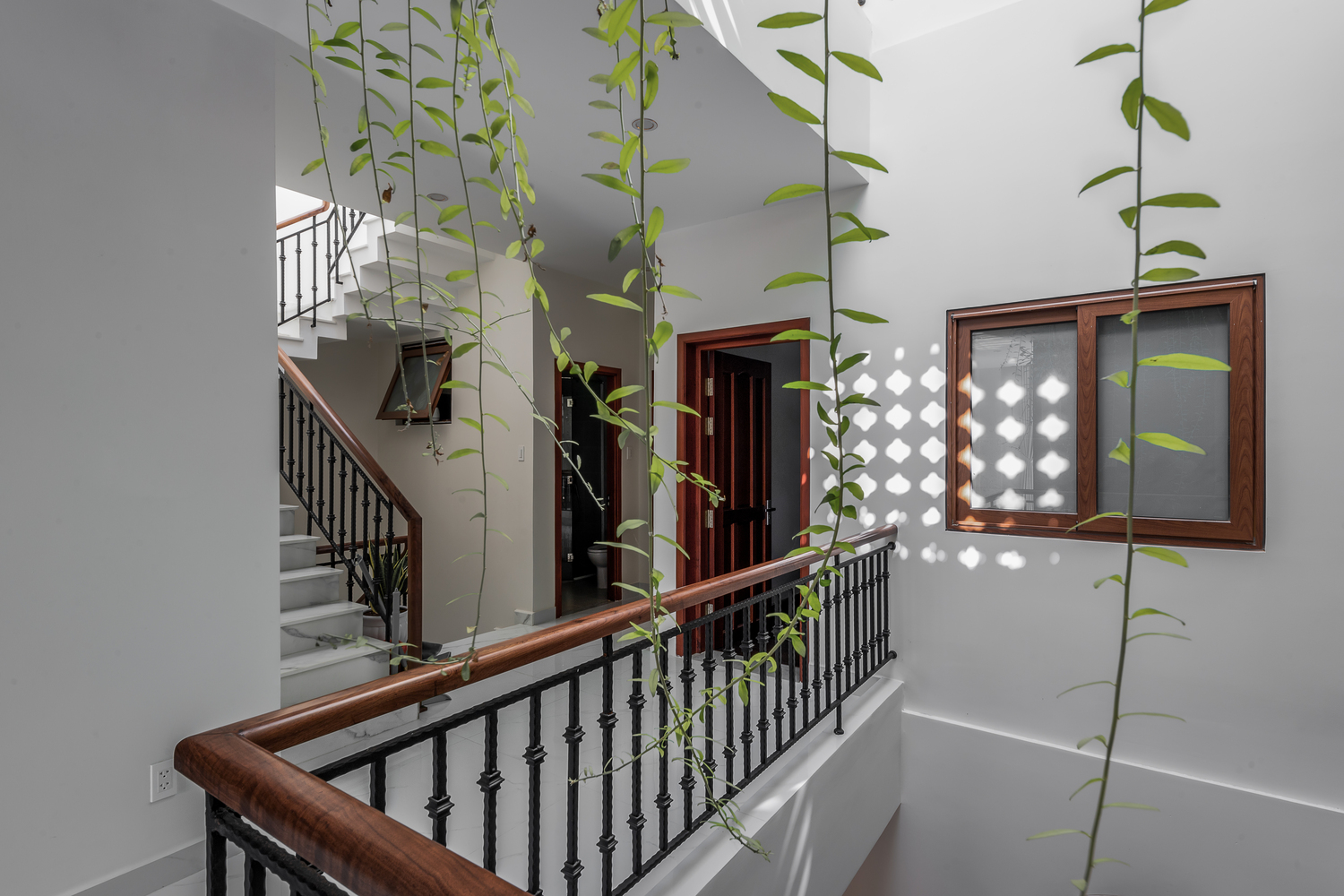 h&igrave;nh ảnh cận cảnh d&acirc;y leo xanh m&aacute;t rủ xuống cầu thang, khoảng th&ocirc;ng tầng