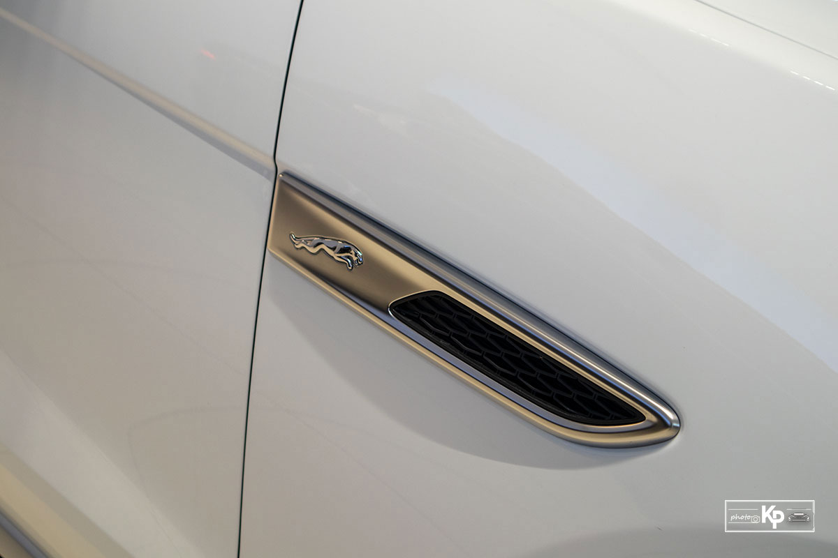 Ảnh Mang c&aacute; xe Jaguar F-Pace 2021