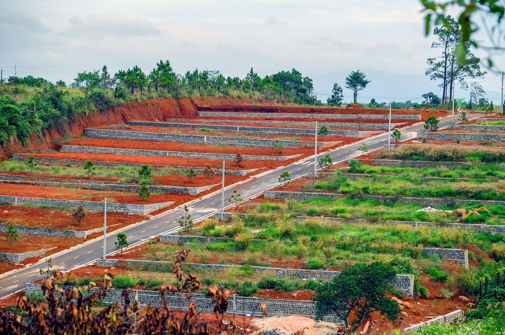 Đất L&acirc;m Đồng