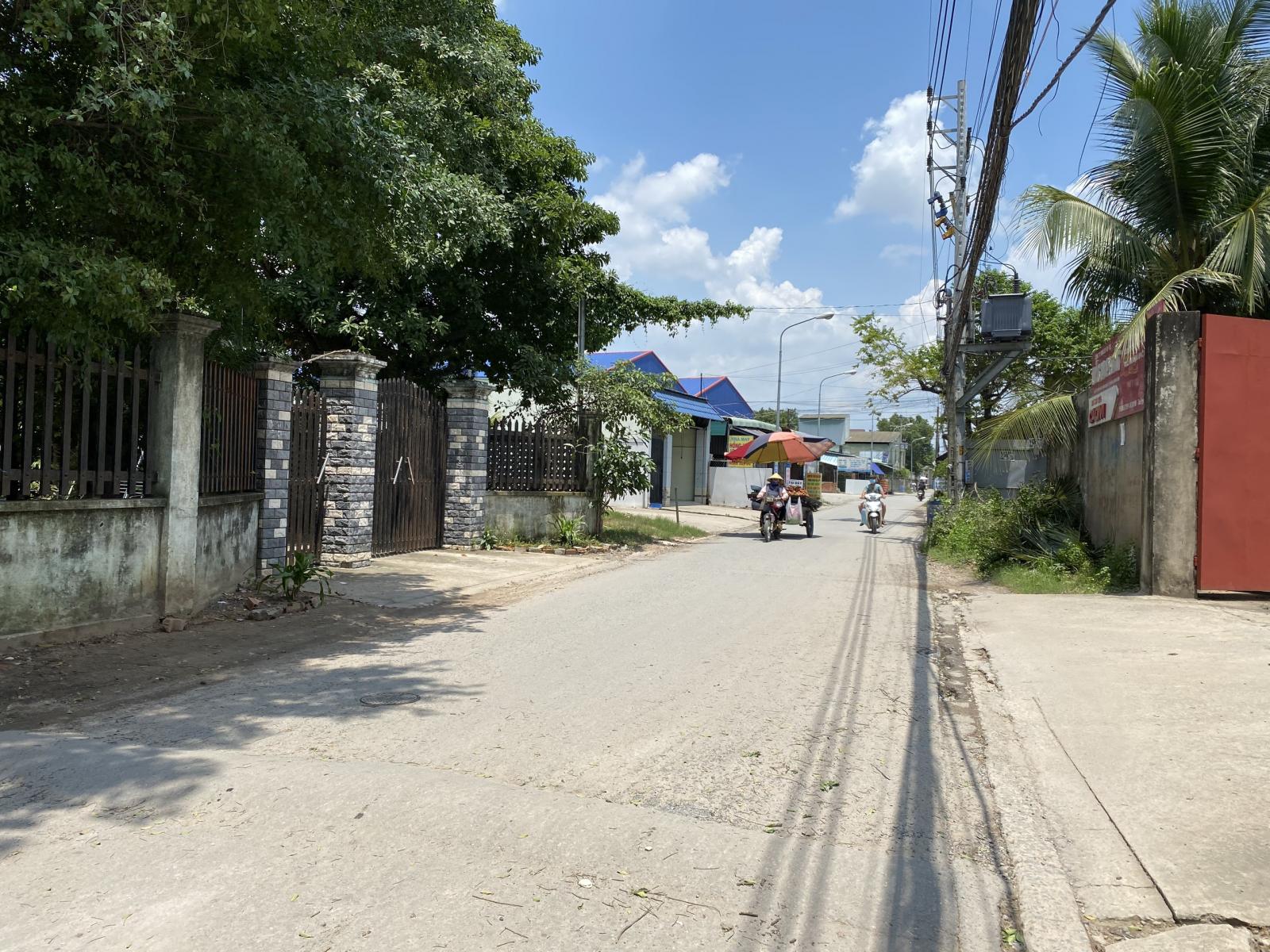 con đường có cây xanh hai bên
