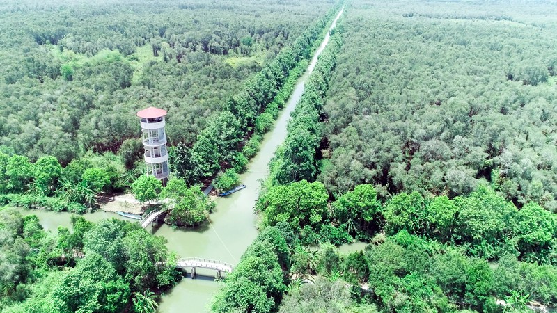 khu bảo tồn thi&ecirc;n nhi&ecirc;n với rất nhiều c&acirc;y xanh