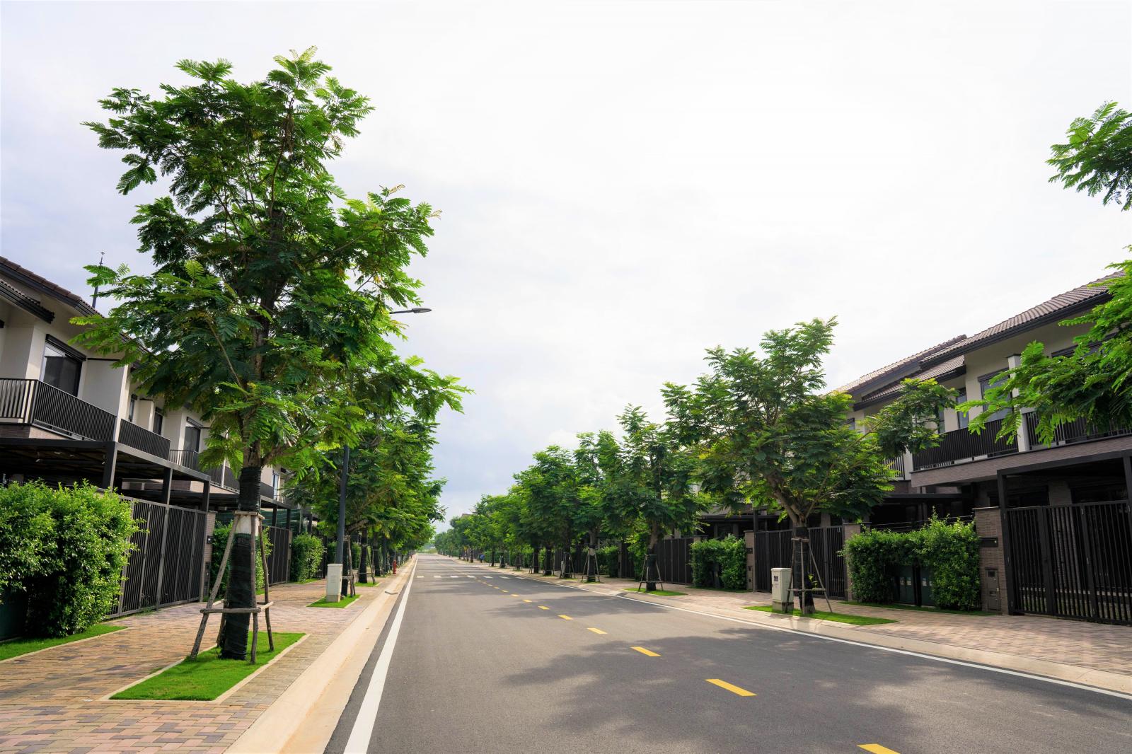 Hình ảnh dự án long an