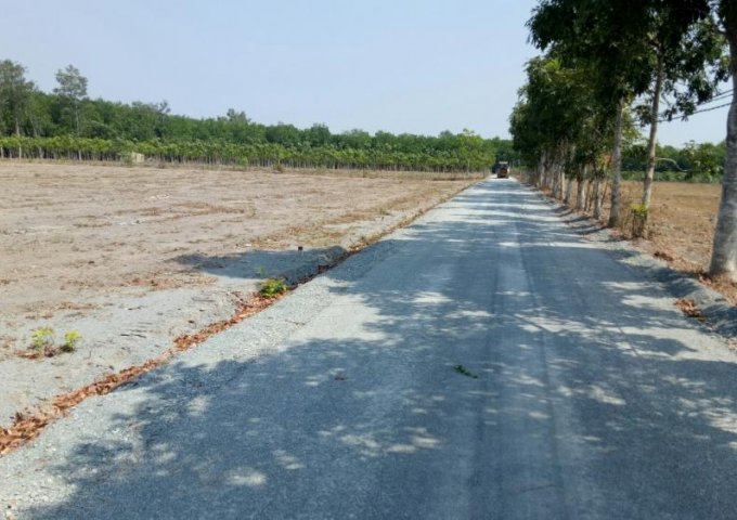 h&igrave;nh ảnh gi&aacute; đất giảm s&acirc;u
