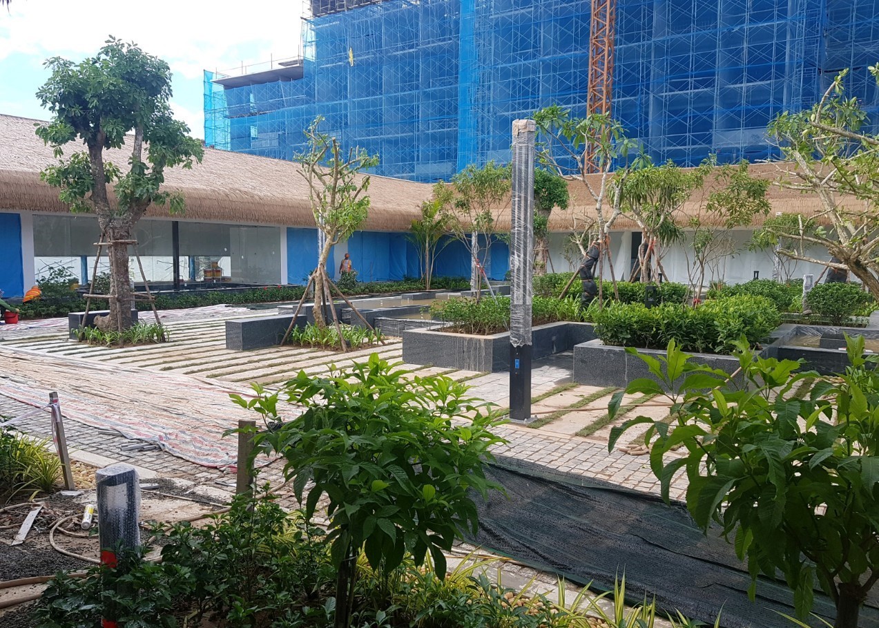 khuôn viên cây cối và công trường đang xây dựng