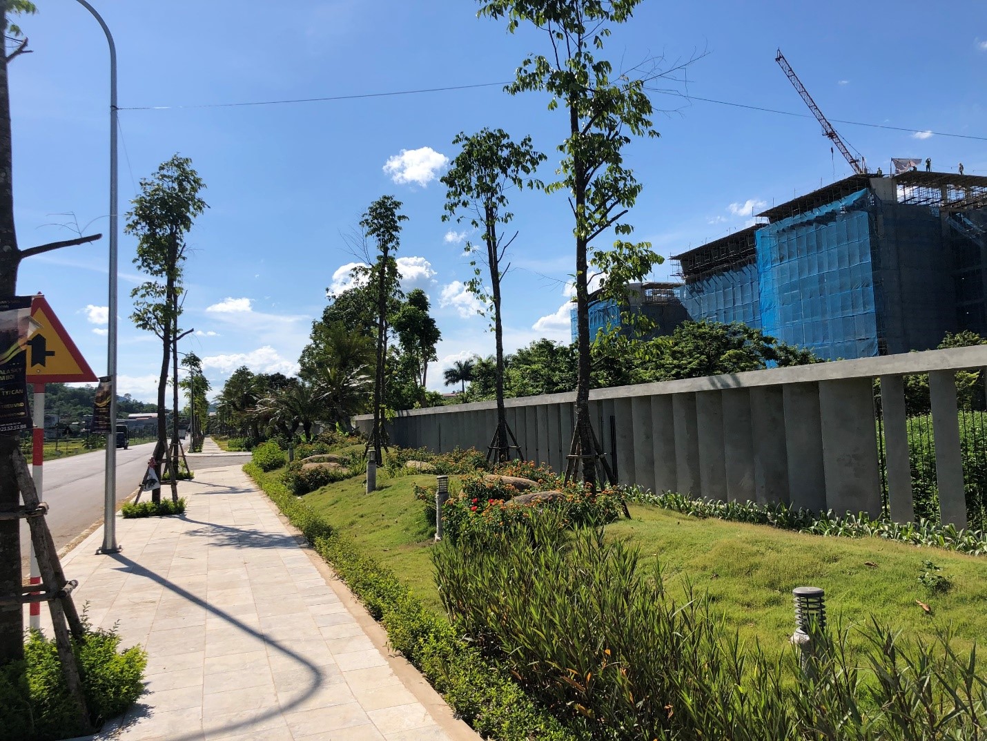 đường đi và cây cối 