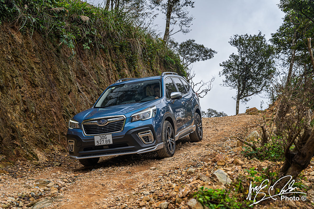 Subaru Forester là một mẫu SUV hạng C thường xuyên được giảm giá.