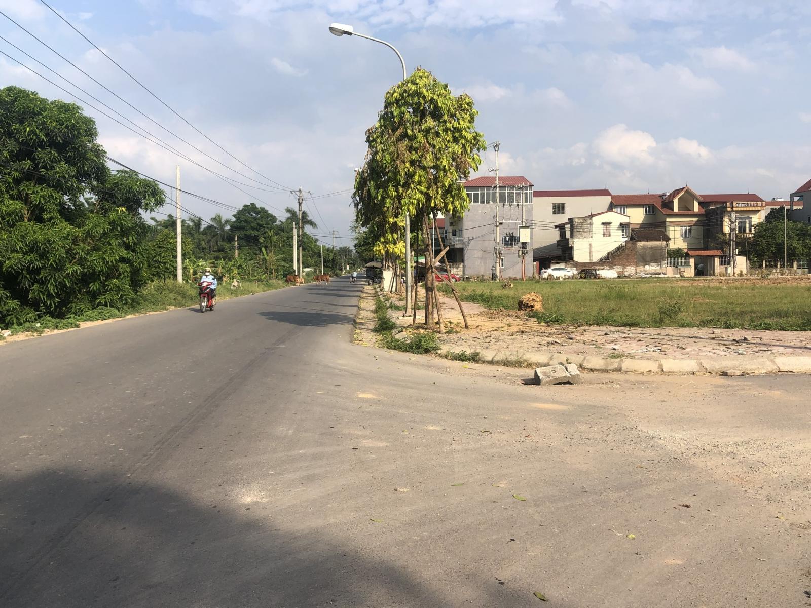 hình ảnh đất Mê Linh