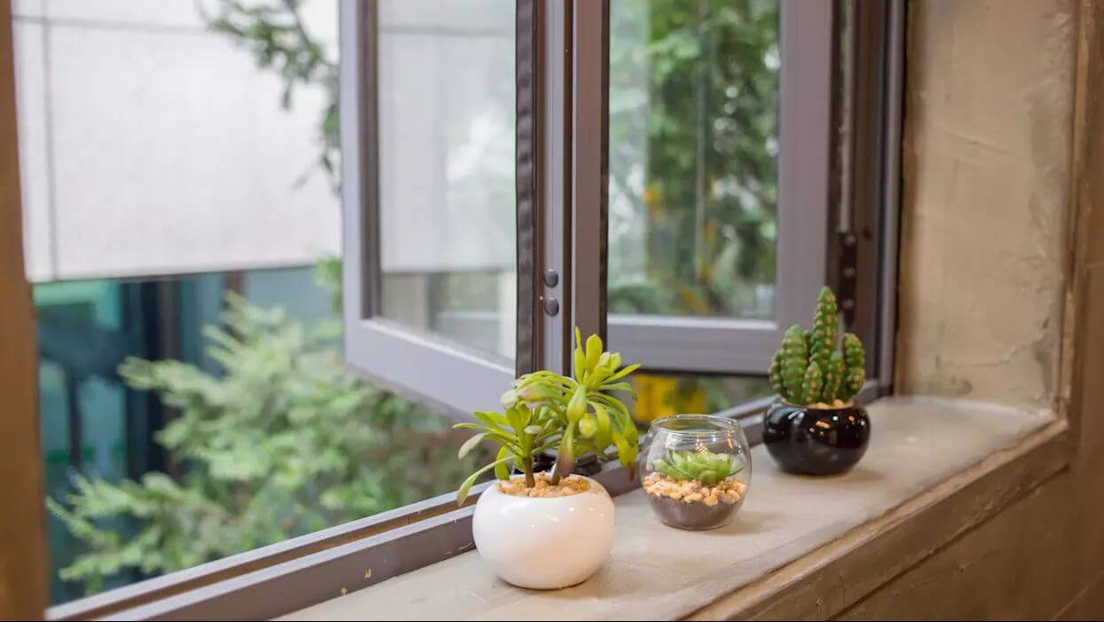đặt v&agrave;i chậu c&acirc;y cảnh nhỏ b&ecirc;n cửa sổ 