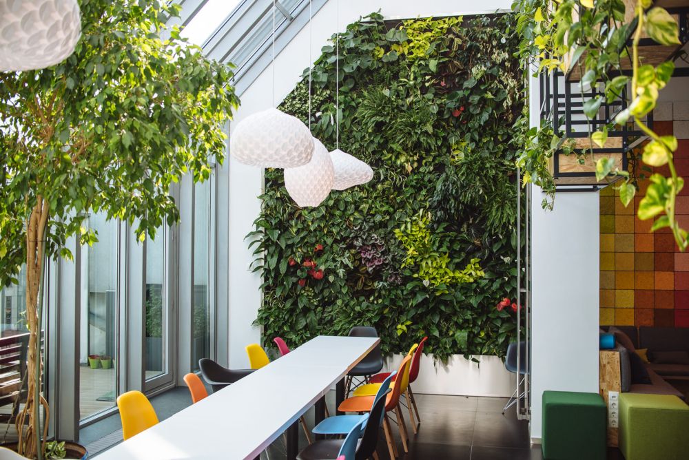 Thiết kế văn phòng xanh ECO