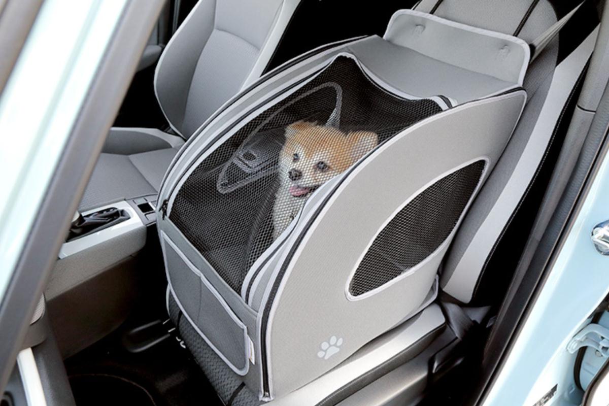 Honda Dog lồng bảo vệ