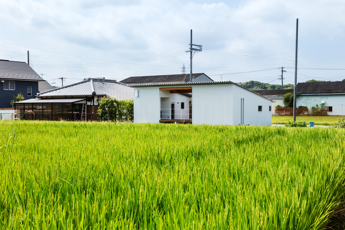 Người dân không được phép xây nhà ở trên đất nông nghiệp 