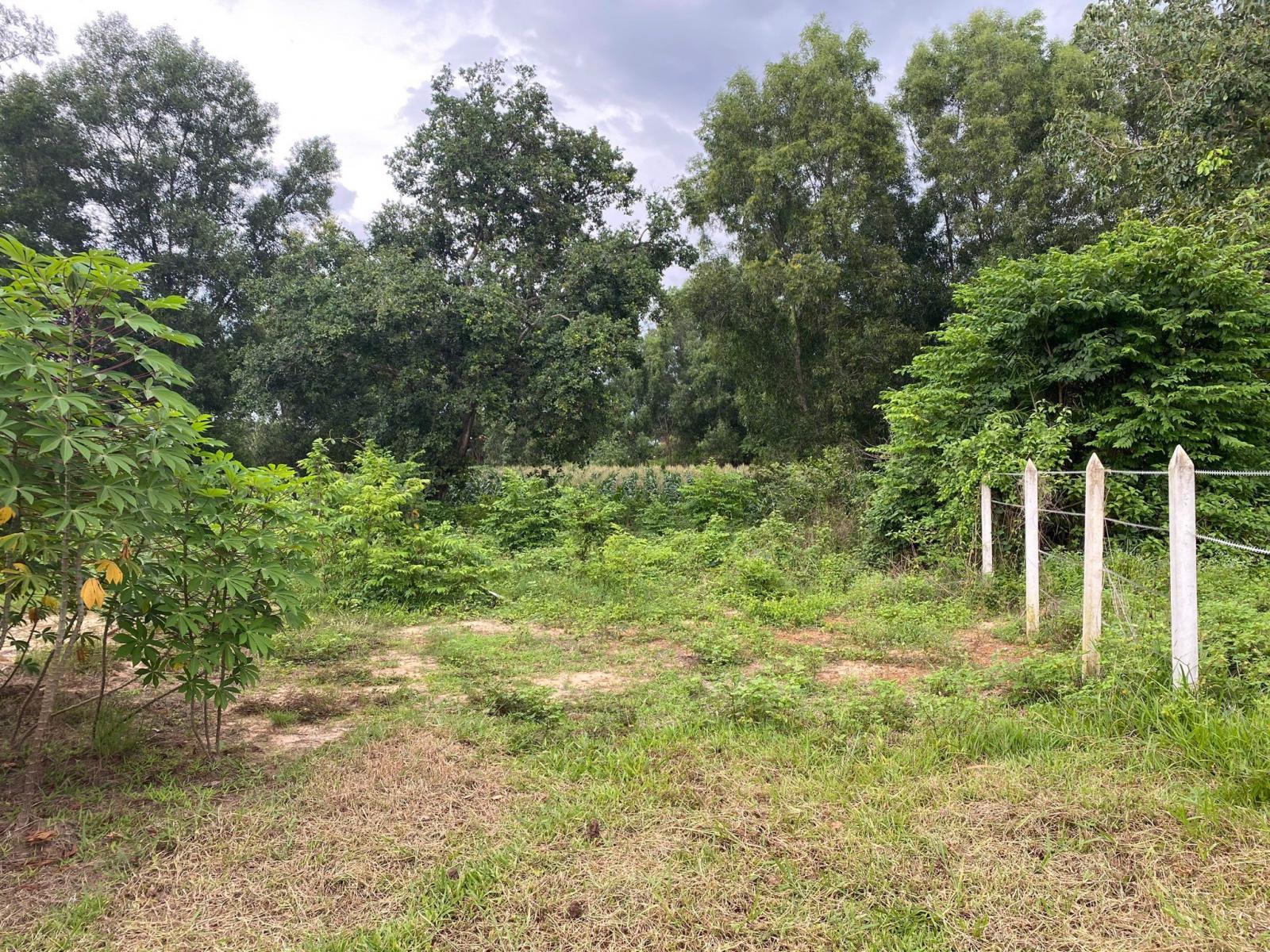 Chủ đất có thể thực hiện chuyển nhượng đất vườn với điều kiện đầy đủ giấy từ pháp lý Chủ đất có thể thực hiện chuyển nhượng đất vườn với điều kiện đầy đủ giấy từ pháp lý