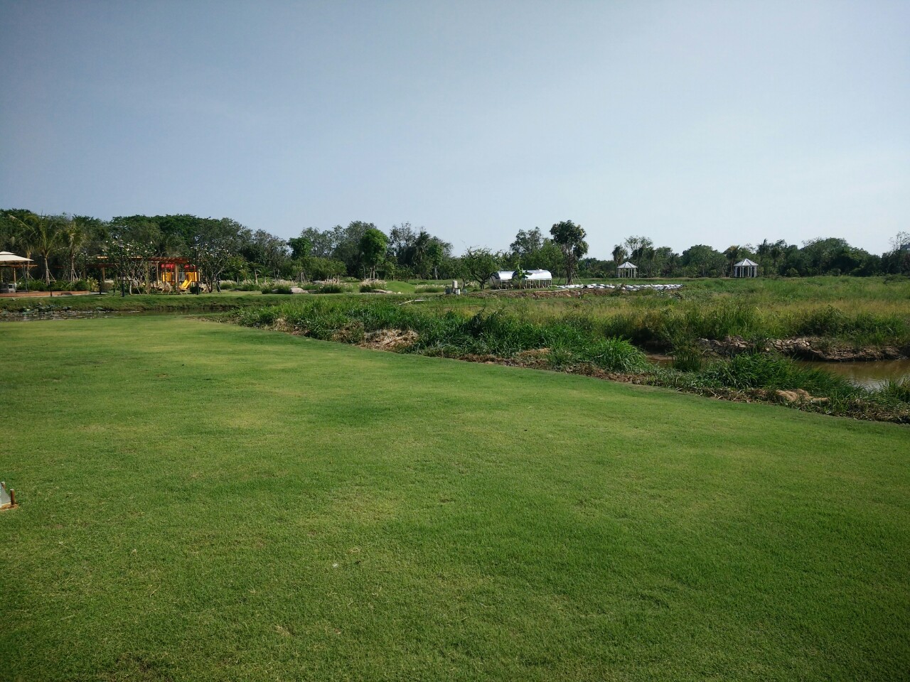 Cần tuân thủ quy định chuyển mục đích sử dụng để tránh bị xử phạt Cần tuân thủ quy định chuyển mục đích sử dụng để tránh bị xử phạt