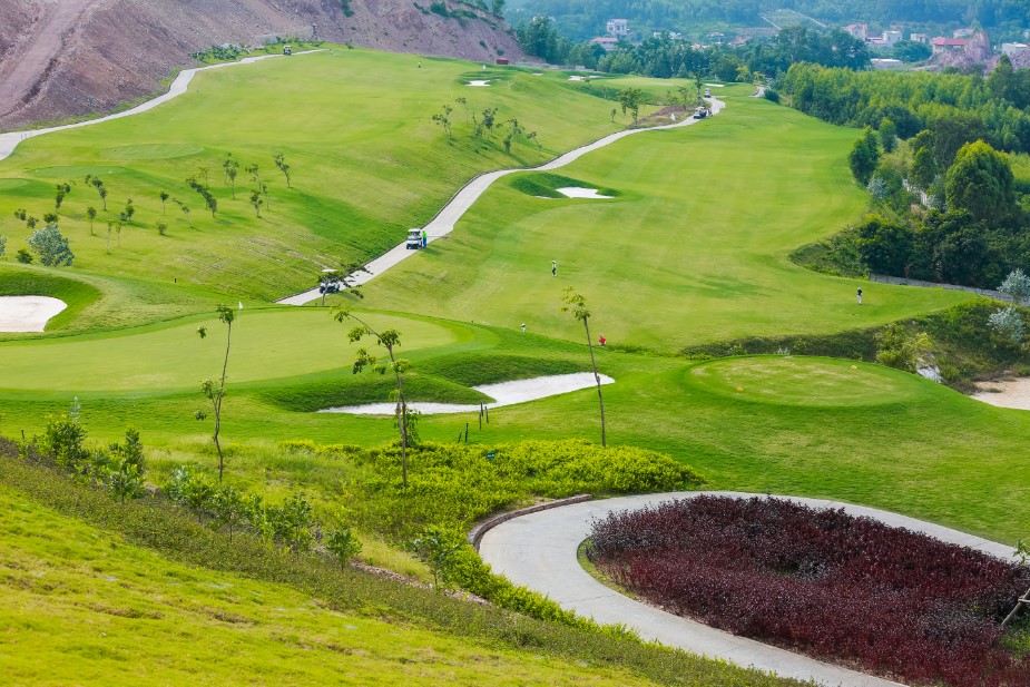 hình ảnh sân golf