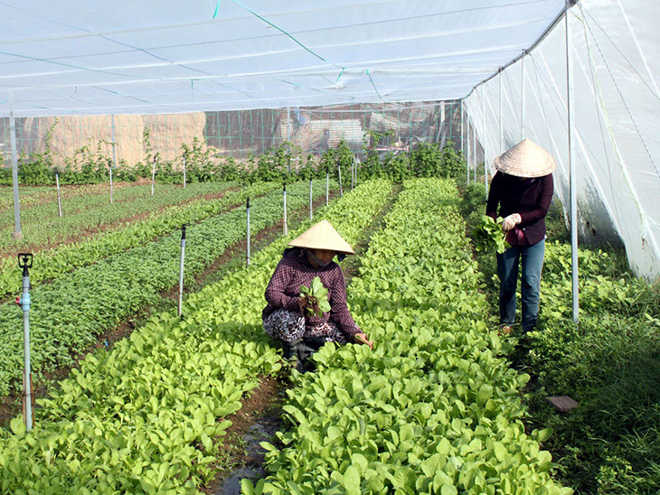 Mỗi nhóm đất đều cho một lợi ích kinh tế nhất định nếu khai thác hiệu quả