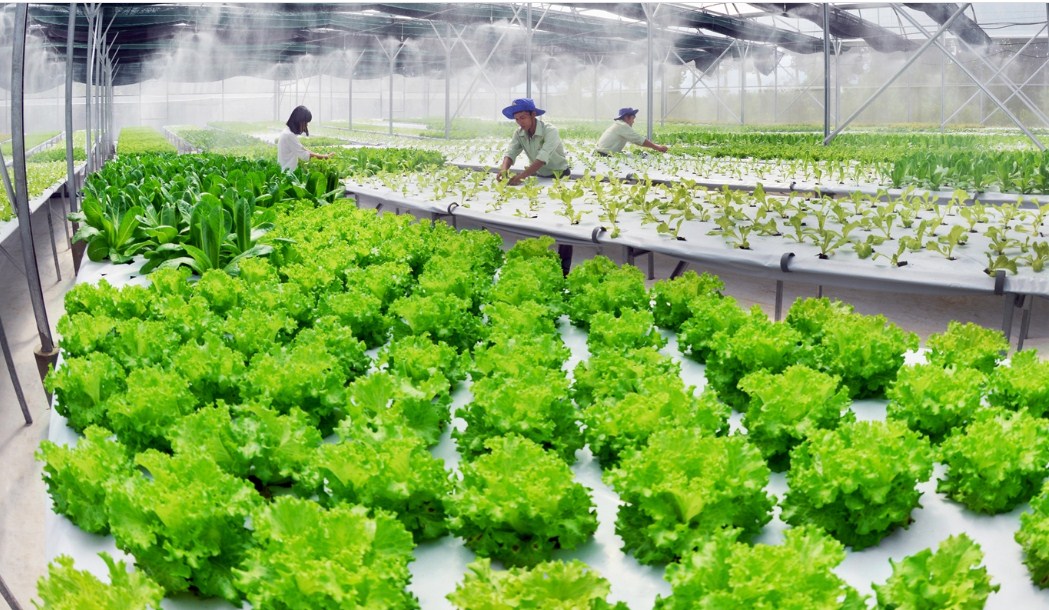 Điều kiện, thủ tục, hồ sơ xin cấp đất l&agrave;m trang trại 2021