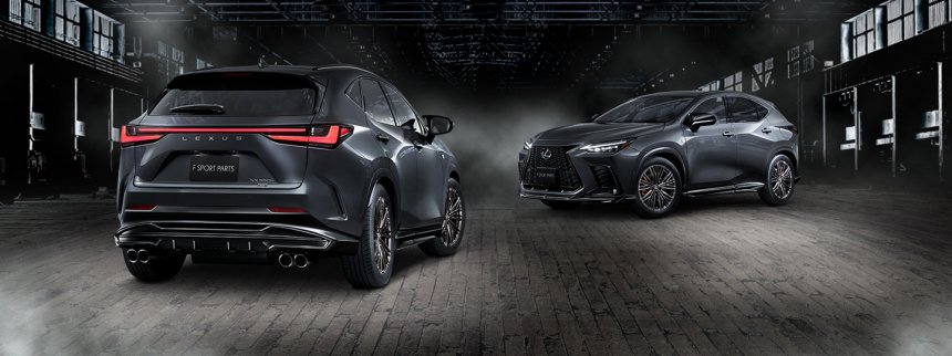 Lexus NX với phụ kiện TRD.
