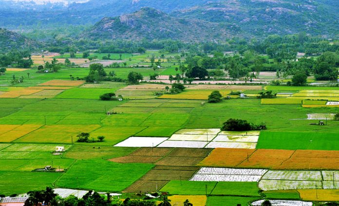 hình ảnh cánh đồng lúa xanh mát, được bao quanh bởi núi đồi thấp minh họa cho đất thổ canh
