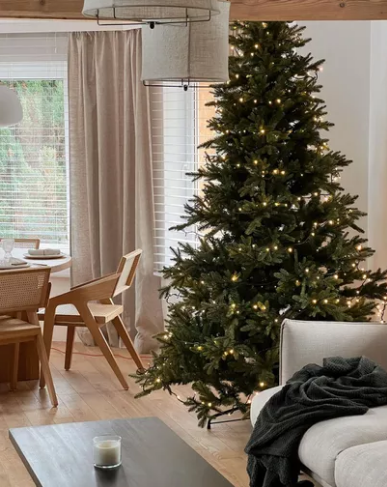 C&acirc;y th&ocirc;ng noel với đ&egrave;n