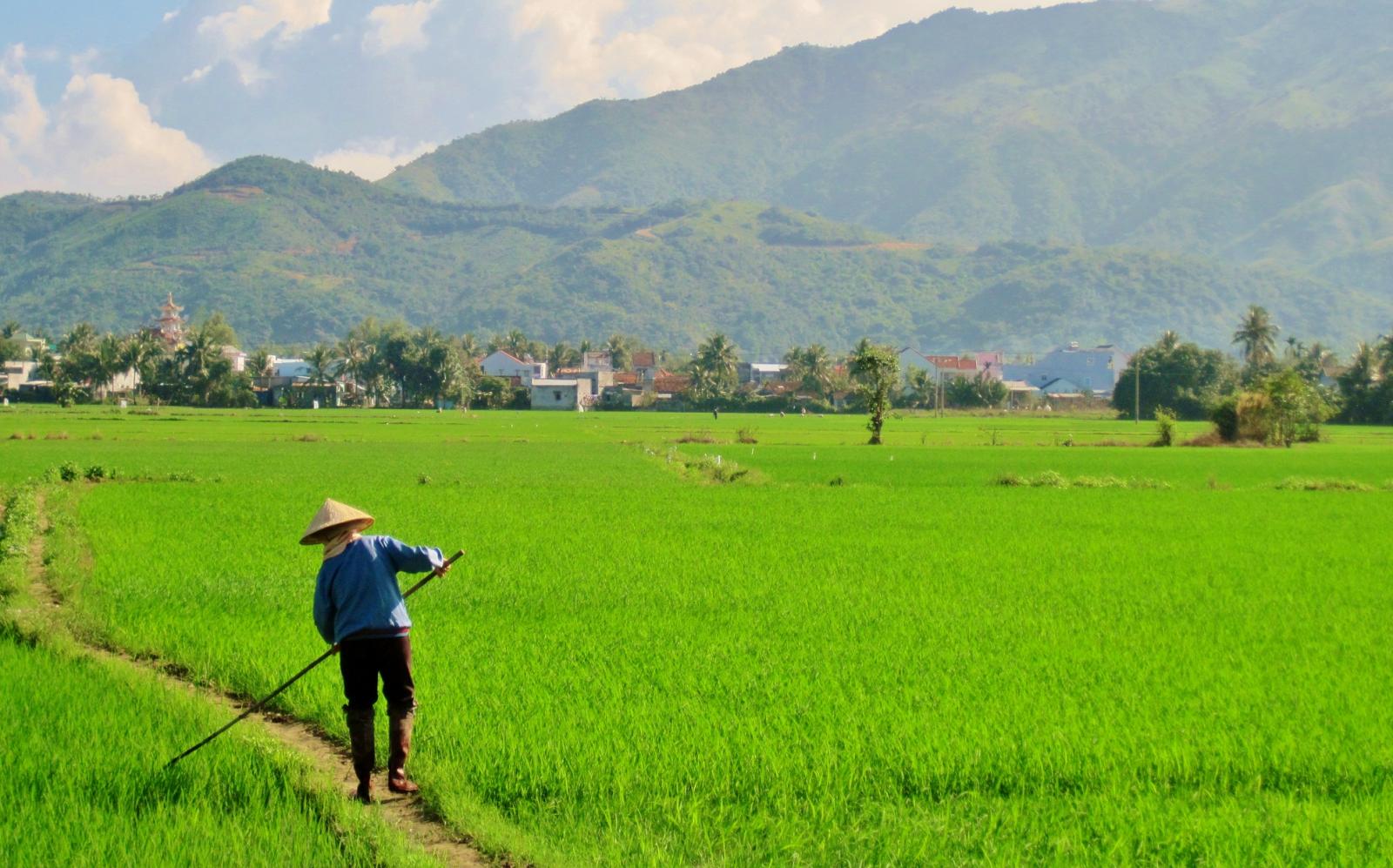Trước khi giao dịch với mọi mảnh đất ruộng, bạn cần xác minh xem đất có thuộc diện quy hoạch hay không