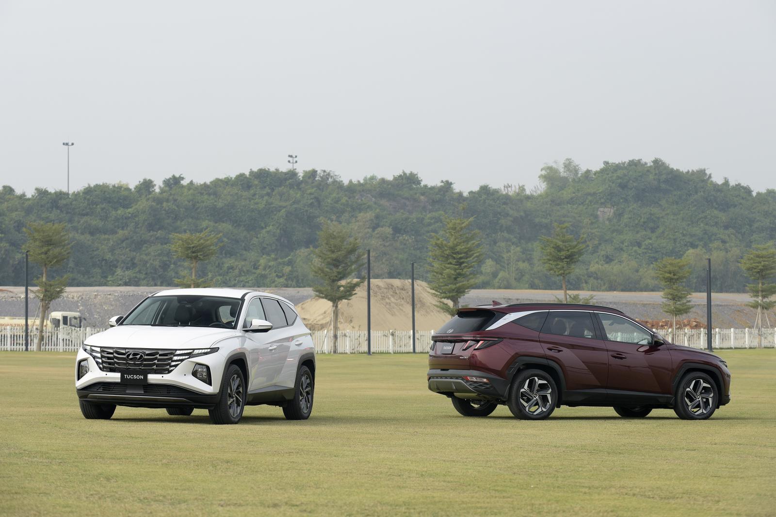 Vượt qua Toyota, Hyundai đ&acirc;̃n d&acirc;̀u thị trường Vi&ecirc;̣t 2021 1