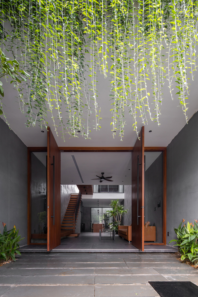 s&acirc;n trong nh&agrave; phố với c&acirc;y d&acirc;y leo bu&ocirc;ng rủ xanh m&aacute;t