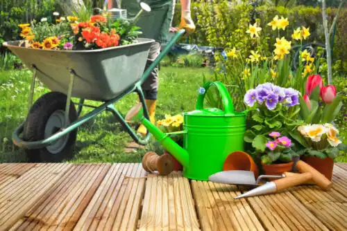 xe đẩy hoa trong khu vườn mùa hè