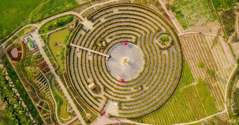Công viên hoa hồng Rose Park có hình mê cung khổng lồ