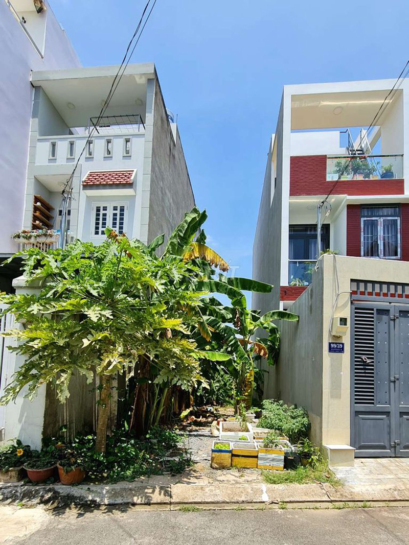  Gia chủ không cần phải sơn các mặt tường xung quanh nhà hay xây hàng rào vì đã có nhà hàng xóm liền kề