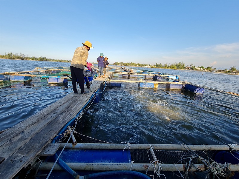 Ký hiệu đất MNC là loại đất có mặt nước chuyên dùng