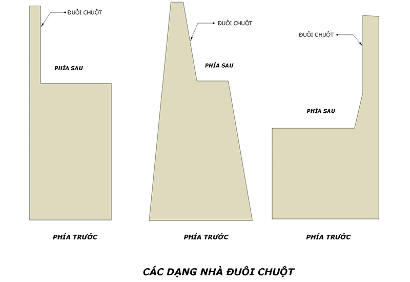  Một số dáng nhà đầu voi đuôi chuột thường gặp