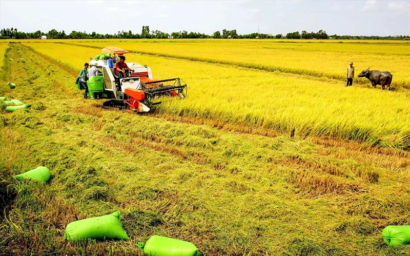  Bảng giá đền bù đất nông nghiệp tại các địa phương là khác nhau