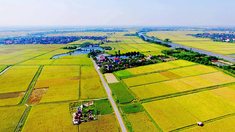  Đất nông nghiệp cần đáp ứng một số điều kiện thì mới nhận được đền bù sau khi bị thu hồi