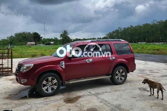 Mẫu Ford Everest 2011 đang được ch&agrave;o b&aacute;n với gi&aacute; 400 triệu đồng 1