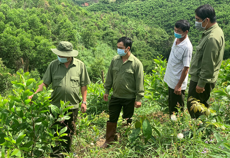 Rừng phòng hộ có được xây nhà không cũng được nhiều người thắc mắc