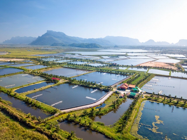 Đất NTS là đất nuôi trồng thủy sản, thuộc nhóm đất nông nghiệp. 