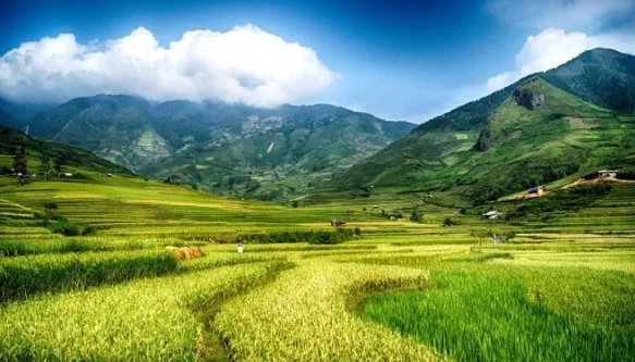 Đất khai hoang được chuyển nhượng khi đáp ứng đầy đủ điều kiện theo quy định của pháp luật.
