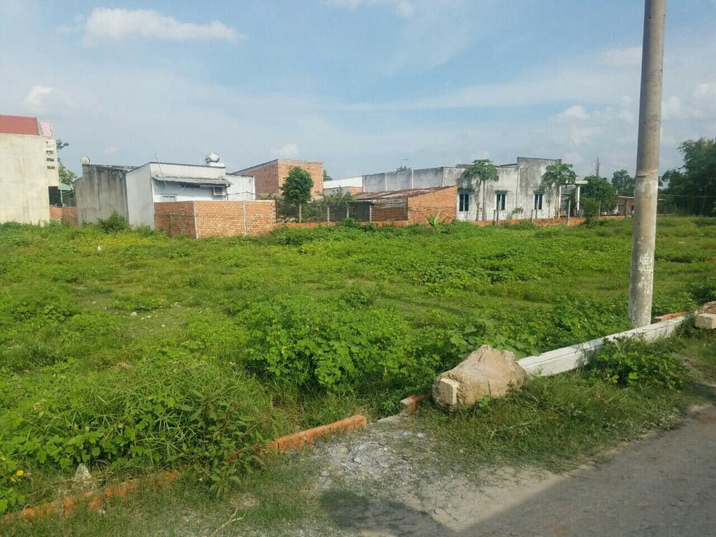 Mua đất chưa có sổ đỏ