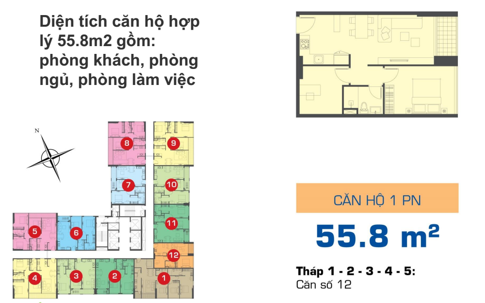 Mặt bằng căn hộ 1 phòng ngủ 55,8m2