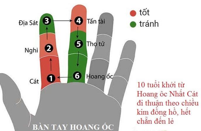 B&agrave;n tay hoang ốc để t&iacute;nh tuổi l&agrave;m nh&agrave;