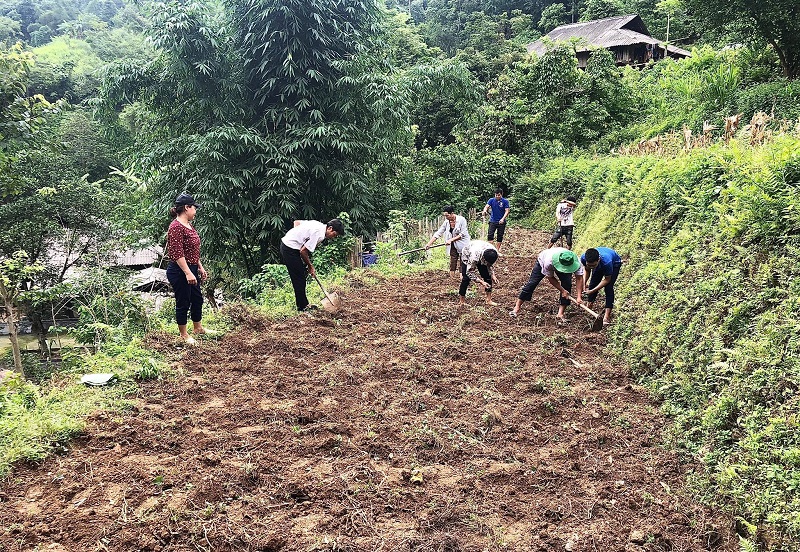 Hình ảnh người dân đang cải tạo đất vườn tạp  Hình ảnh người dân đang cải tạo đất vườn tạp